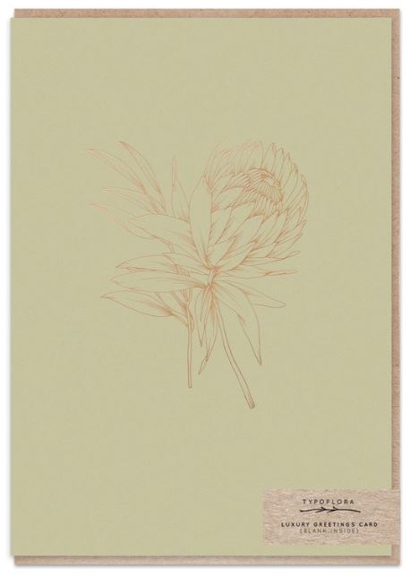 Olive Card (universal)