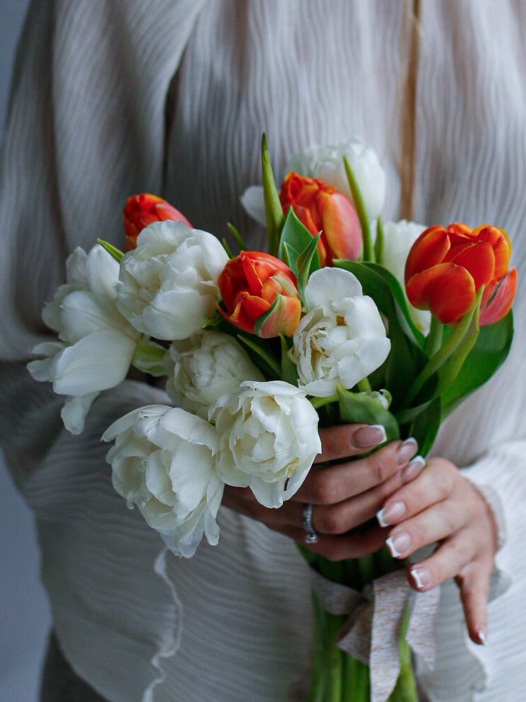 Tulips Symphony