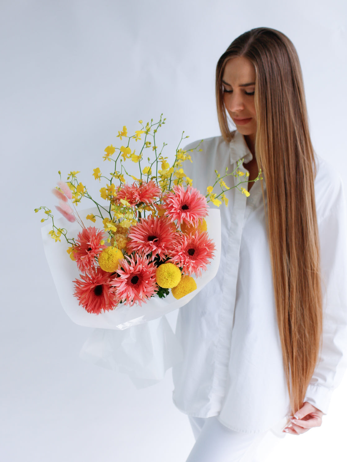 Gerbera Grace