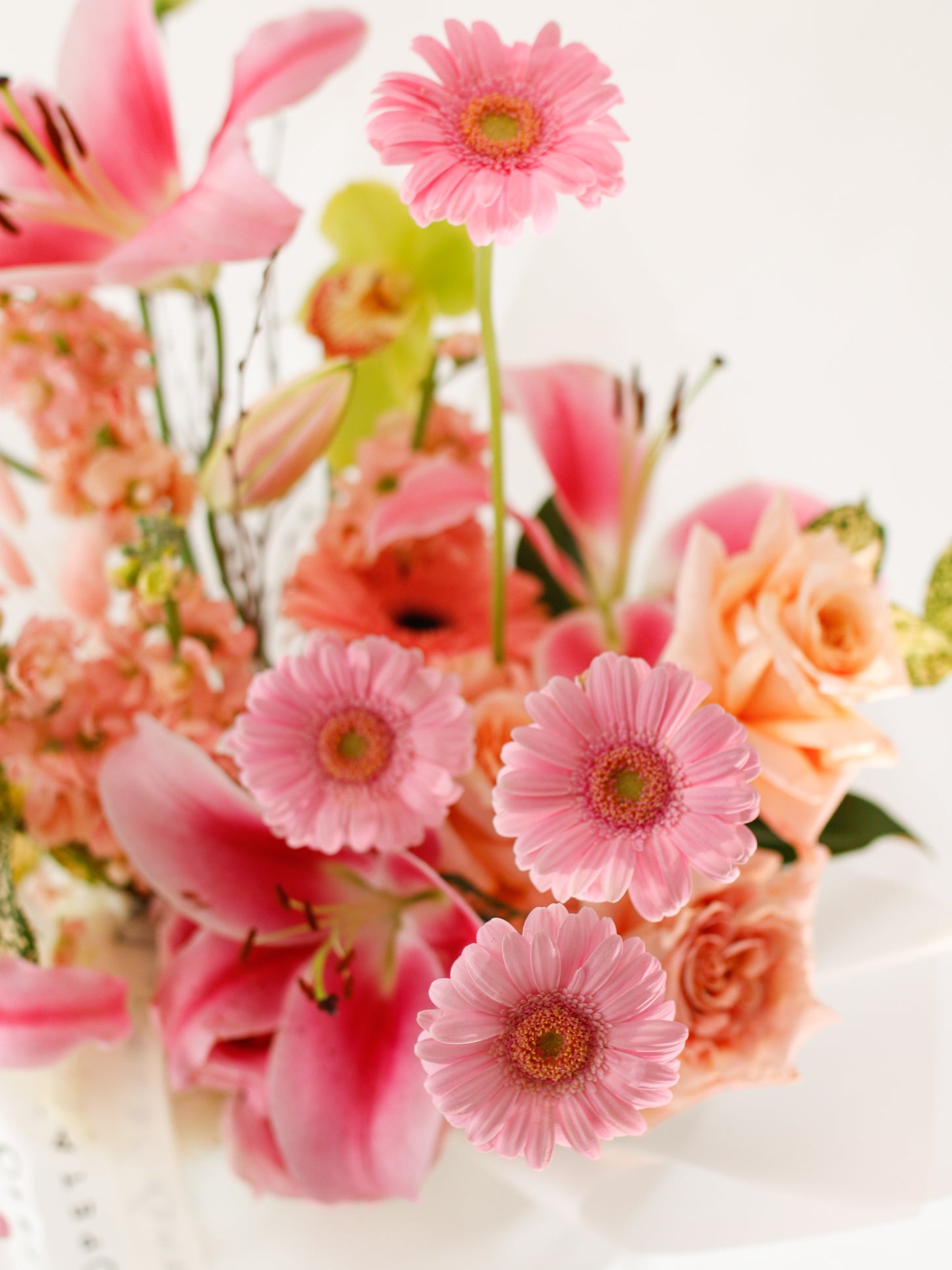 Whispering Petals