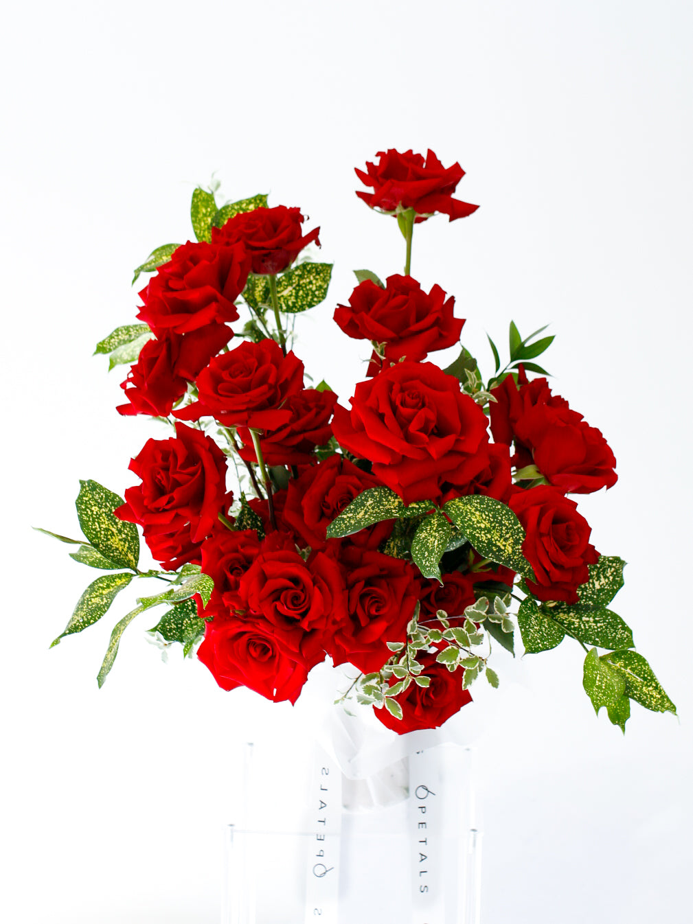 Red Rose  Delight